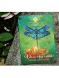 Second-hand The Spirit Animal Oracle by Colette Baron-Reid