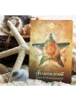 Second-hand The Spirit Animal Oracle by Colette Baron-Reid