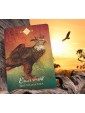 Second-hand The Spirit Animal Oracle by Colette Baron-Reid