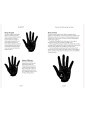 In Focus Palmistry by Roberta Vernon