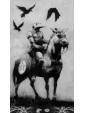 Murder of Crows Tarot by Corrado Roi