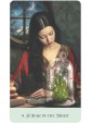 Weeds & Witches Oracle Deck by Fabiana Belmonte & Lattari Cecilia