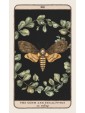 Woodland Wardens : A 52-Card Oracle Deck & Guidebook by Jessica Roux