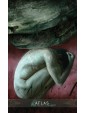 Divine Masculine Healing Oracle Cards by Christabel Jessica & Cecilia G. F.