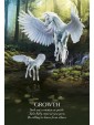 Second-hand Oracle of the Unicorns by Brabbs Cordelia F.