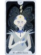 Seasons of the Witch Winter Tarot by Lorriane Anderson & Tijana Lukovic 