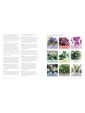 Mindful Living: A guide to the everyday magic of feng shui by Anjie Cho