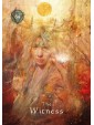 Second-hand Mystical Shaman Oracle Cards by Alberto Villoldo, Colette Baron-Reid & Marcela Lobos