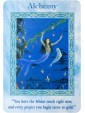 OOP Magical Mermaids and Dolphin Oracle Cards by Doreen Virtue