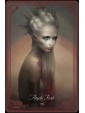 The Queen Mab Oracle by Tess Whitehurst, Mélanie Delon, & Cecilia G.F