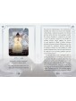Seasons of the Witch Imbolc Oracle by Lorriane Anderson, Tijana Lukovic & Juliet Diaz