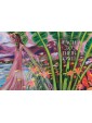 Creating Paradise : The art of making joy and love real by Akal Pritam