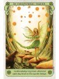 Conscious Spirit Oracle Deck by Kim Dreyer