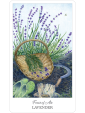 The Herbcrafter's Tarot by Latisha Guthrie and Joanna Powell Colbert