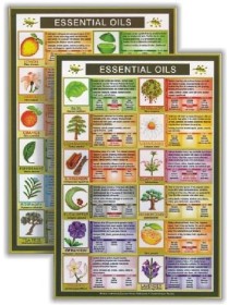 Essential Oils Mini Chart 
