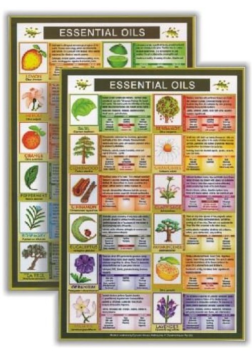 Essential Oils Mini Chart 