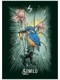 Witch's Familiar Runic Oracle Cards by Athene Noctua