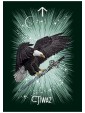 Witch's Familiar Runic Oracle Cards by Athene Noctua