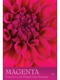 The Secret Language of Colour Cards by Inna Segal