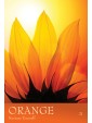 The Secret Language of Colour Cards by Inna Segal
