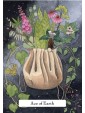 The Witches Wisdom Tarot Standard Edition by Phyllis Curott & Danielle Barlow 