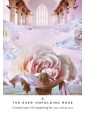 Work Your Light Oracle Cards by Rebecca Campbell & Danielle Noel