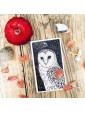Second-hand The Wild Unknown Animal Spirit Deck and Guidebook by Kim Krans