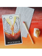 Second-hand The Wild Unknown Animal Spirit Deck and Guidebook by Kim Krans