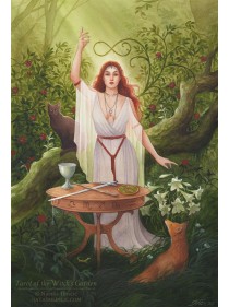 Tarot of the Witch's Garden Cards by Sasha Graham & Natasa Ilincic 