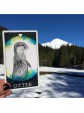 The Wild Unknown Animal Spirit Deck and Guidebook by Kim Krans