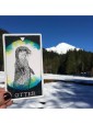 Second-hand The Wild Unknown Animal Spirit Deck and Guidebook by Kim Krans
