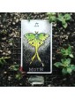 Second-hand The Wild Unknown Animal Spirit Deck and Guidebook by Kim Krans