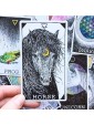 Second-hand The Wild Unknown Animal Spirit Deck and Guidebook by Kim Krans