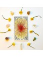 The Wild Unknown Tarot Deck by Kim Krans