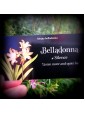 The Language of Flowers Deck : Loving support from the wisdom of nature by Cheralyn Darcey