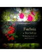 The Language of Flowers Deck : Loving support from the wisdom of nature by Cheralyn Darcey