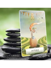 Wisdom of the Oracle Cards by Colette Baron-Reid
