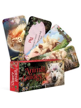 Animal Guides Mini Cards by Jena Dellagrottaglia 