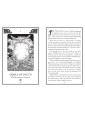 Coven Oracle Cards by Fiona Horne 