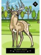 The Animal Elders Oracle : 44-Card Deck & Guidebook of Indigenous Wisdom & Healing Medicine by Asha Frost 