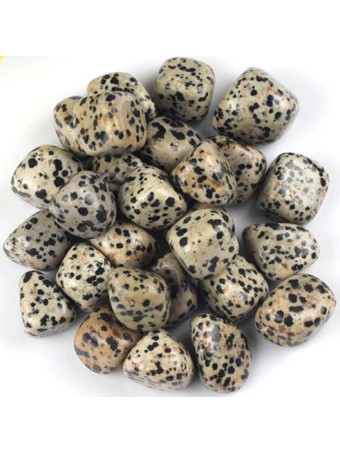 dalmatian-jasper