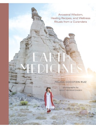 Earth Medicines by Felicia Cocotzin Ruiz