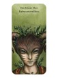 Forest Fae Messages : Curious messages of enchantment by Nadia Turner