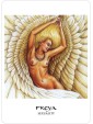 The Goddess Oracle Deck/Book Set by Amy Sophia Marashinsky