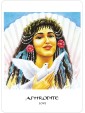 The Goddess Oracle Deck/Book Set by Amy Sophia Marashinsky