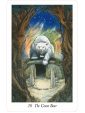 The Wildwood Tarot : Wherein Wisdom Resides by Mark Ryan, John Matthews & Will Worthington 