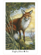 The Wildwood Tarot : Wherein Wisdom Resides by Mark Ryan, John Matthews & Will Worthington 