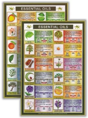 Essential Oils Mini Chart 