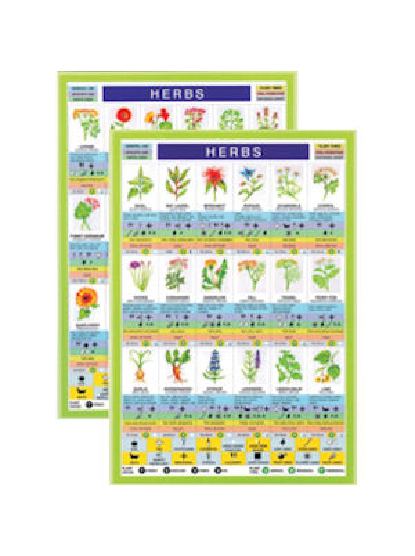 Herbs Mini Chart