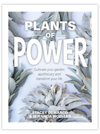 Plants of Power : Cultivate Your Garden Apothecary and Transform Your Life by Stacey Demarco & Miranda Mueller